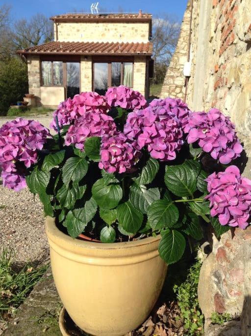 Faetole Typical Tuscan Country House Near Florence Capannuccia Exterior foto